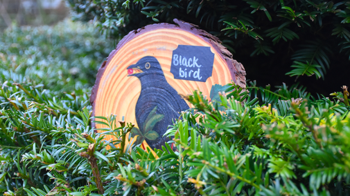 A hand-painted blackbird picture, hidden in the topiary at Avebury Manor Garden
